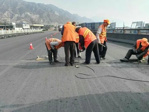 颍州道路桥梁病害治理